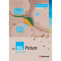 The Big Picture Beginner Class Audio CD