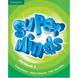 Super Minds Level 2 Workbook
