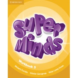 Super Minds Level 5 Workbook