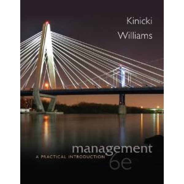 Management: A Practical Introduction