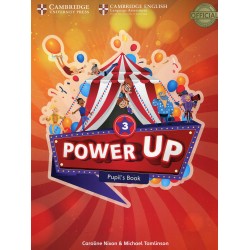Power Up Level 3 Pupils Book
